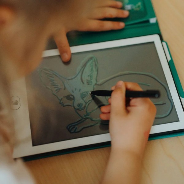 KIDYWOLF piešimo planšetė Animals Around The World, KIDYDRAW-MINI-AAW
