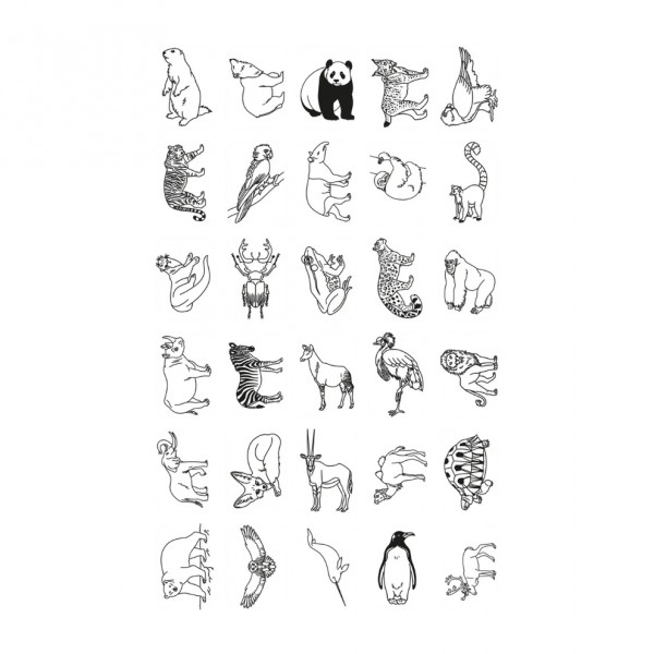 KIDYWOLF piešimo planšetė Animals Around The World, KIDYDRAW-MINI-AAW